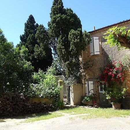 Sigean - Maison Domaine Viticole, 6 Km De La Mer Dış mekan fotoğraf