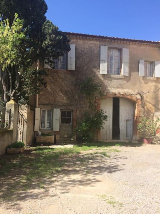 Sigean - Maison Domaine Viticole, 6 Km De La Mer Dış mekan fotoğraf