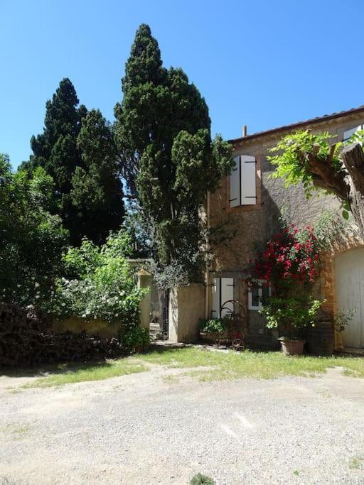 Sigean - Maison Domaine Viticole, 6 Km De La Mer Dış mekan fotoğraf