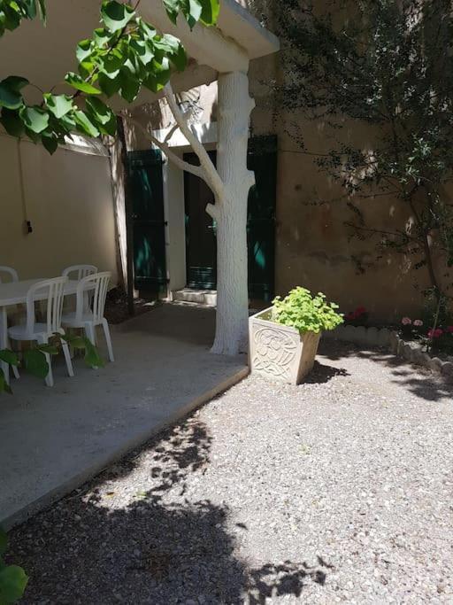 Sigean - Maison Domaine Viticole, 6 Km De La Mer Dış mekan fotoğraf