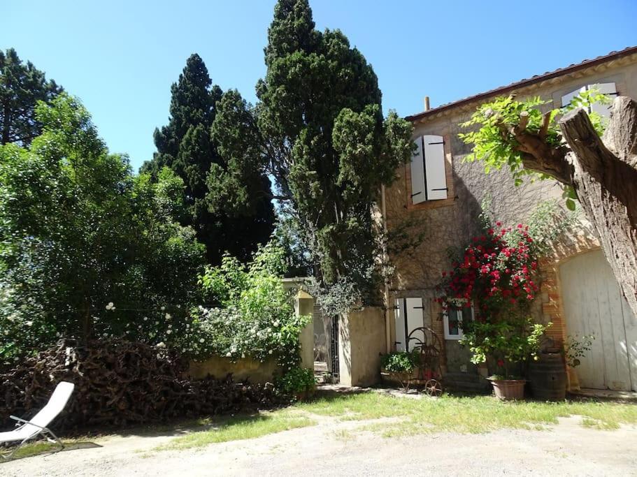 Sigean - Maison Domaine Viticole, 6 Km De La Mer Dış mekan fotoğraf